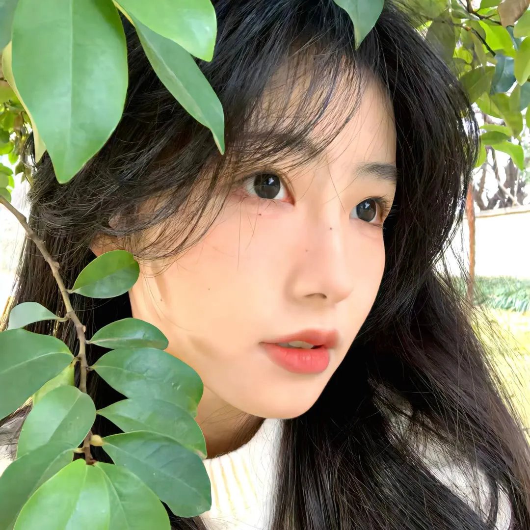 古树旋律 剧场版